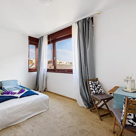 High Class Leopold *