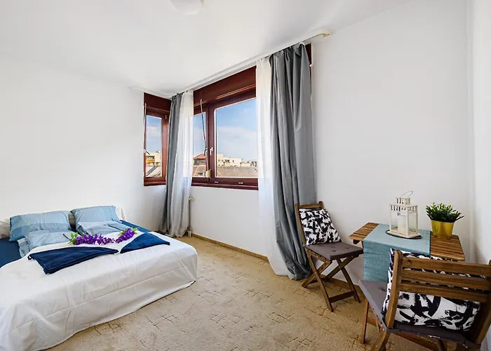 High Class Leopold *